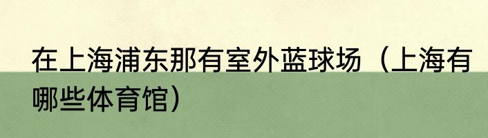 在上海浦东那有室外蓝球场（上海有哪些体育馆）