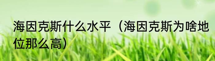 海因克斯什么水平（海因克斯为啥地位那么高）