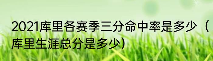 2021库里各赛季三分命中率是多少（库里生涯总分是多少）