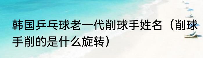 韩国乒乓球老一代削球手姓名（削球手削的是什么旋转）