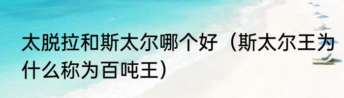 太脱拉和斯太尔哪个好（斯太尔王为什么称为百吨王）