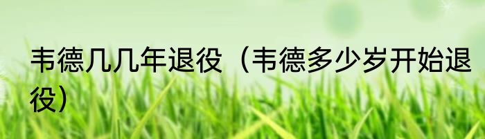 韦德几几年退役（韦德多少岁开始退役）