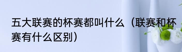 五大联赛的杯赛都叫什么（联赛和杯赛有什么区别）