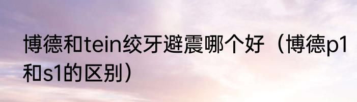 博德和tein绞牙避震哪个好（博德p1和s1的区别）