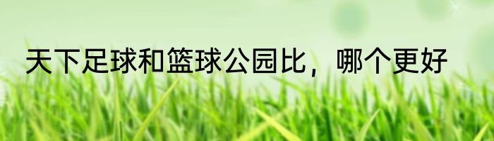 天下足球和篮球公园比，哪个更好