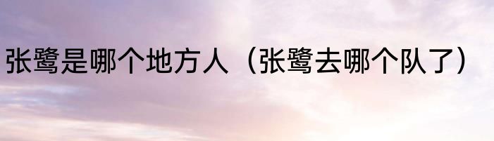 张鹭是哪个地方人（张鹭去哪个队了）