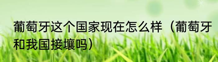 葡萄牙这个国家现在怎么样（葡萄牙和我国接壤吗）