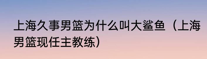 上海久事男篮为什么叫大鲨鱼（上海男篮现任主教练）
