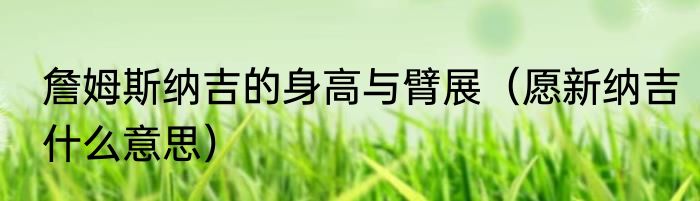 詹姆斯纳吉的身高与臂展（愿新纳吉什么意思）