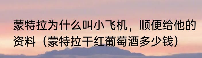 蒙特拉为什么叫小飞机，顺便给他的资料（蒙特拉干红葡萄酒多少钱）