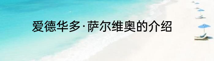 爱德华多·萨尔维奥的介绍