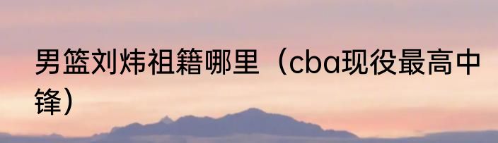 男篮刘炜祖籍哪里（cba现役最高中锋）