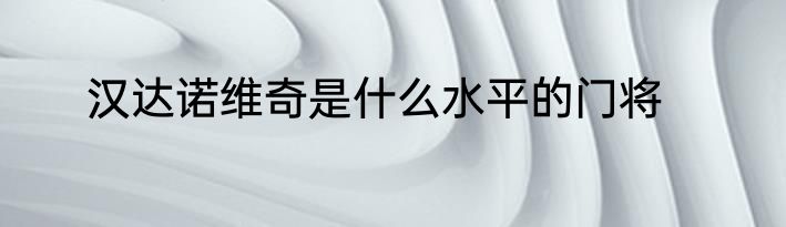 汉达诺维奇是什么水平的门将