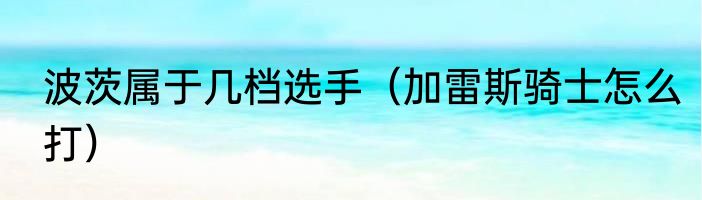 波茨属于几档选手（加雷斯骑士怎么打）