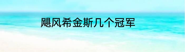 飓风希金斯几个冠军