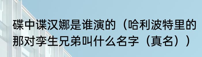 碟中谍汉娜是谁演的（哈利波特里的那对孪生兄弟叫什么名字（真名））