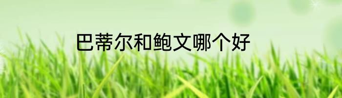 巴蒂尔和鲍文哪个好