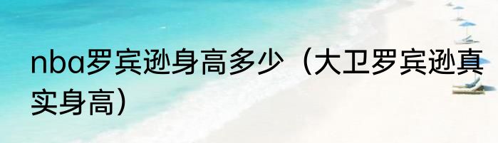 nba罗宾逊身高多少（大卫罗宾逊真实身高）