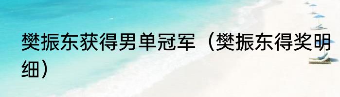 樊振东获得男单冠军（樊振东得奖明细）