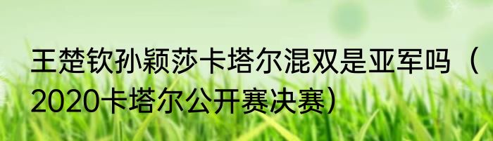 王楚钦孙颖莎卡塔尔混双是亚军吗（2020卡塔尔公开赛决赛）