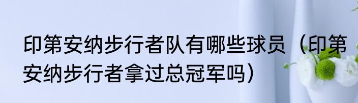 印第安纳步行者队有哪些球员（印第安纳步行者拿过总冠军吗）