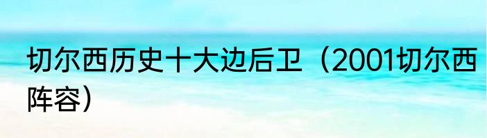 切尔西历史十大边后卫（2001切尔西阵容）