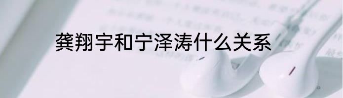 龚翔宇和宁泽涛什么关系