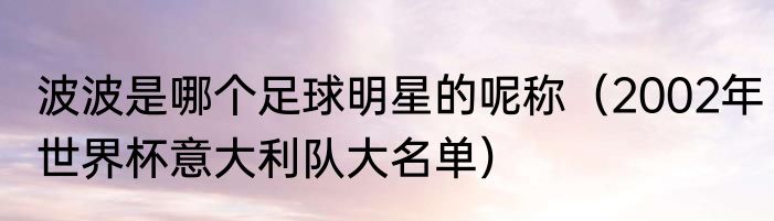 波波是哪个足球明星的呢称（2002年世界杯意大利队大名单）