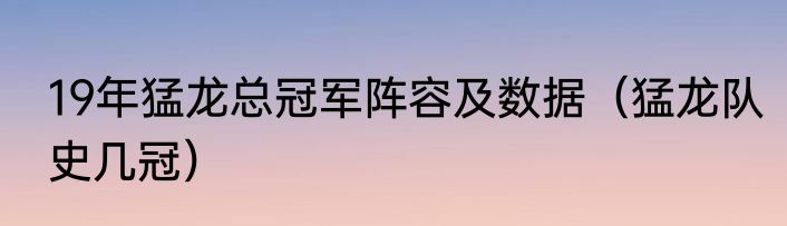 19年猛龙总冠军阵容及数据（猛龙队史几冠）