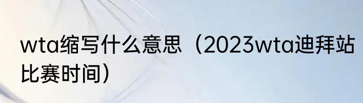 wta缩写什么意思（2023wta迪拜站比赛时间）