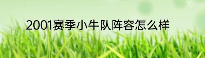 2001赛季小牛队阵容怎么样