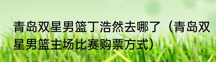 青岛双星男篮丁浩然去哪了（青岛双星男篮主场比赛购票方式）