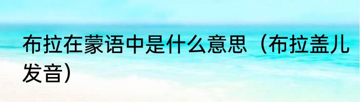 布拉在蒙语中是什么意思（布拉盖儿发音）