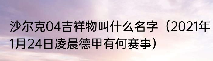沙尔克04吉祥物叫什么名字（2021年1月24日凌晨德甲有何赛事）