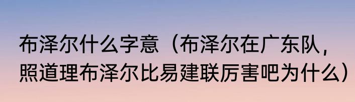 布泽尔什么字意（布泽尔在广东队，照道理布泽尔比易建联厉害吧为什么）