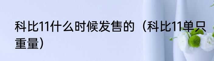 科比11什么时候发售的（科比11单只重量）