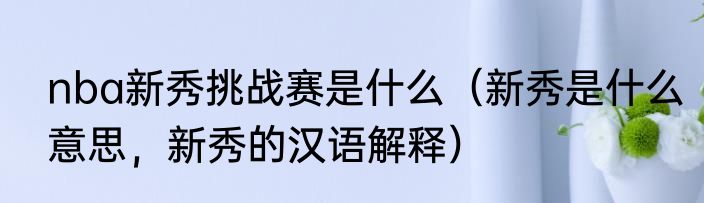 nba新秀挑战赛是什么（新秀是什么意思，新秀的汉语解释）