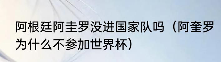 阿根廷阿圭罗没进国家队吗（阿奎罗为什么不参加世界杯）