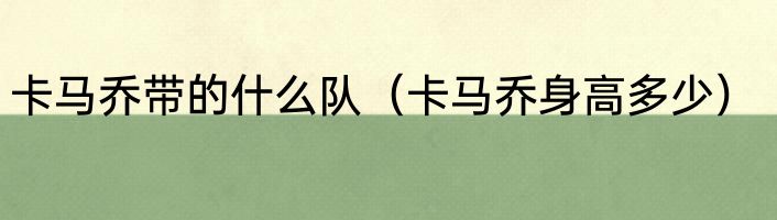 卡马乔带的什么队（卡马乔身高多少）