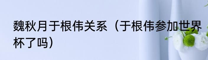 魏秋月于根伟关系（于根伟参加世界杯了吗）