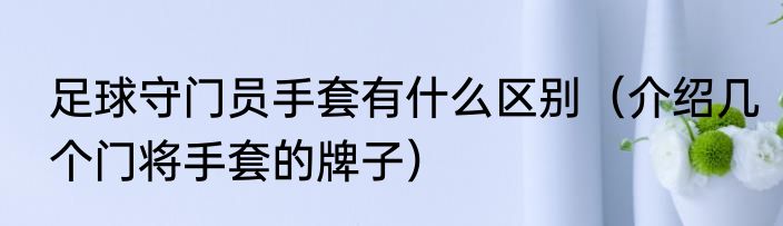足球守门员手套有什么区别（介绍几个门将手套的牌子）