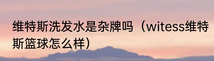 维特斯洗发水是杂牌吗（witess维特斯篮球怎么样）