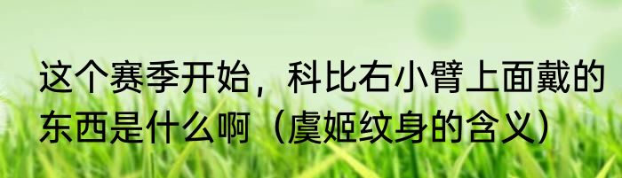 这个赛季开始，科比右小臂上面戴的东西是什么啊（虞姬纹身的含义）