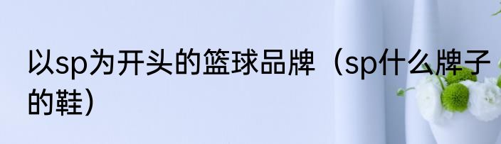 以sp为开头的篮球品牌（sp什么牌子的鞋）