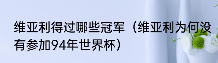 维亚利得过哪些冠军（维亚利为何没有参加94年世界杯）
