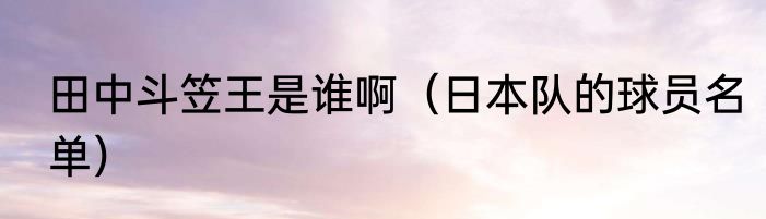 田中斗笠王是谁啊（日本队的球员名单）