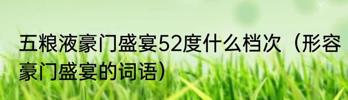 五粮液豪门盛宴52度什么档次（形容豪门盛宴的词语）