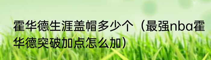 霍华德生涯盖帽多少个（最强nba霍华德突破加点怎么加）