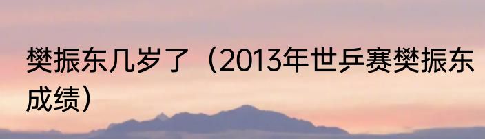 樊振东几岁了（2013年世乒赛樊振东成绩）