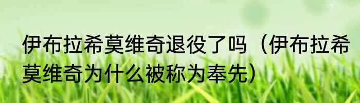 伊布拉希莫维奇退役了吗（伊布拉希莫维奇为什么被称为奉先）